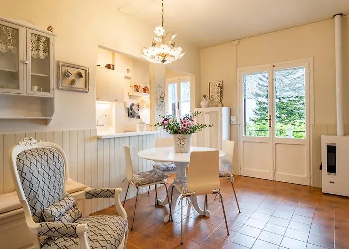 Sassi Scritti - Acero Montano Montefegatesi