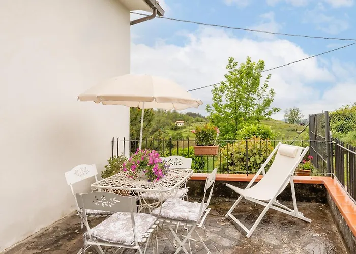 Sassi Scritti - Acero Montano Montefegatesi