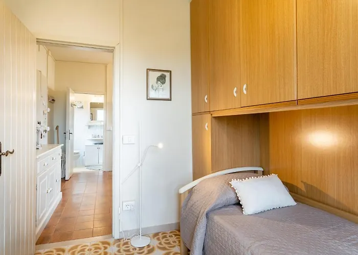 Sassi Scritti - Acero Montano * Montefegatesi