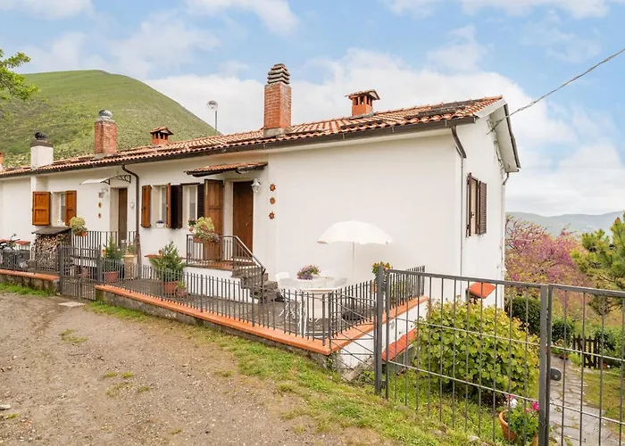 Sassi Scritti - Acero Montano *