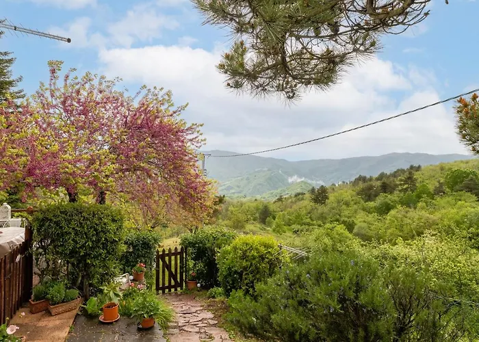 Sassi Scritti - Acero Montano * Montefegatesi